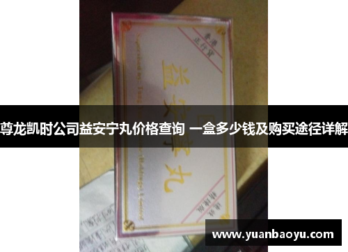 尊龙凯时公司益安宁丸价格查询 一盒多少钱及购买途径详解