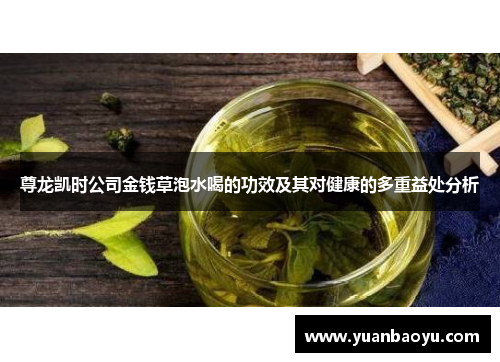 尊龙凯时公司金钱草泡水喝的功效及其对健康的多重益处分析