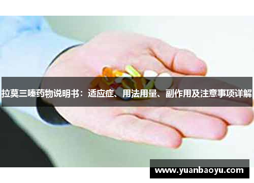 拉莫三嗪药物说明书：适应症、用法用量、副作用及注意事项详解